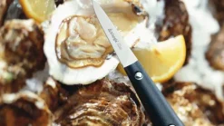 Austernmesser triangle