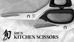 Haushaltsschere Profi