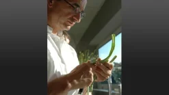 Michel Bras Tranchiermesser