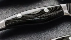 Nagare Schinkenmesser