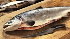 Synchros Tranchiermesser