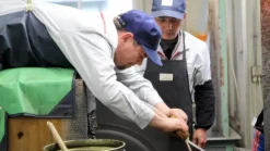 Tim Mälzer Schinkenmesser