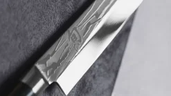 Yanagiba Shun Pro Sho